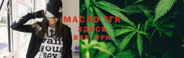 дмт Пестово