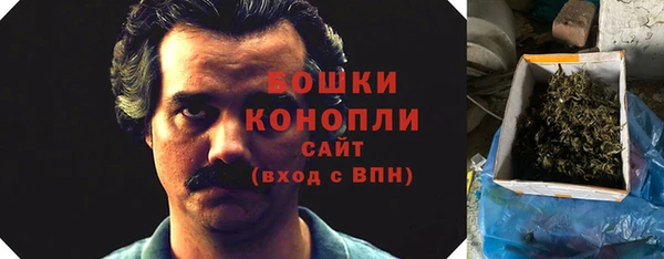 спайс Пересвет