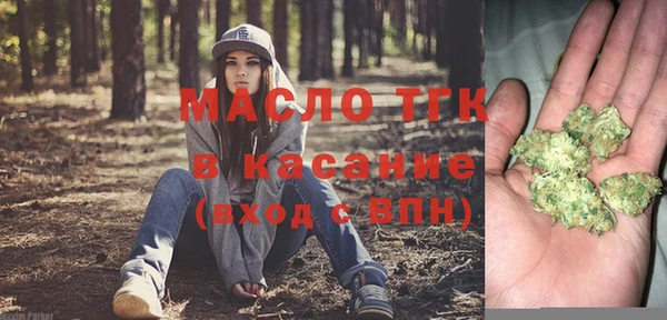 дмт Пестово