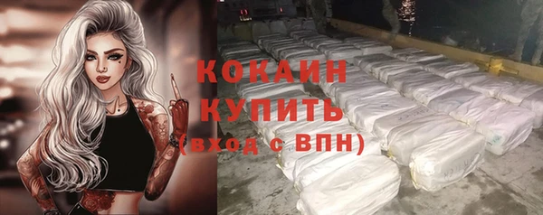 первитин Осинники