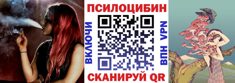 Галлюциногенные грибы Psilocybine cubensis сколько стоит Алагир